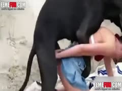 Fucking her dog with a teenage slut A young, attractive girl with her pet on the beach